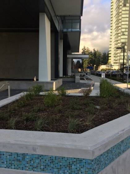 00m0m_i4YnxzAg3mn_06M092_1200x900