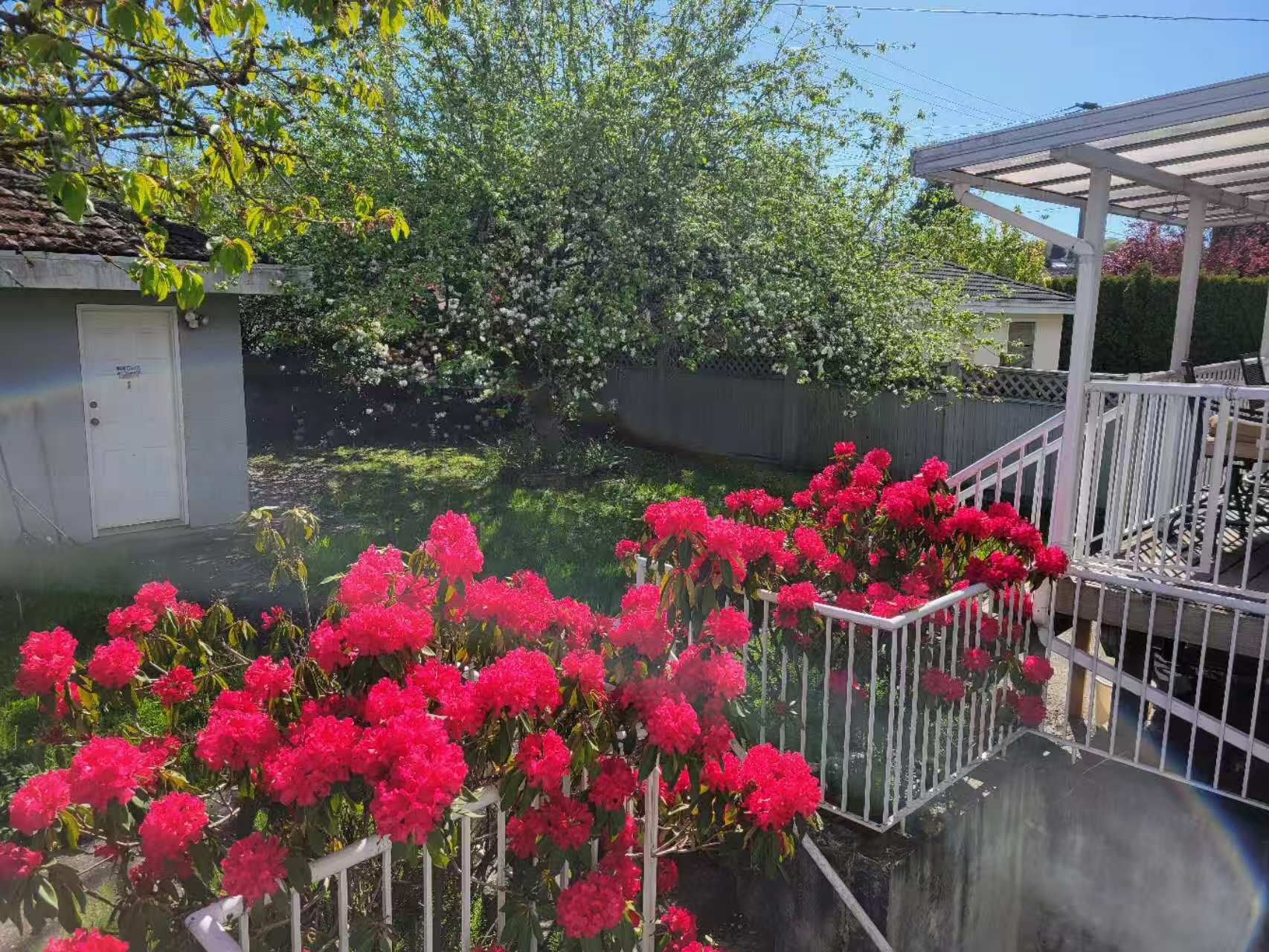 LOWER HOUSE COMMON AREA PHOTO 6