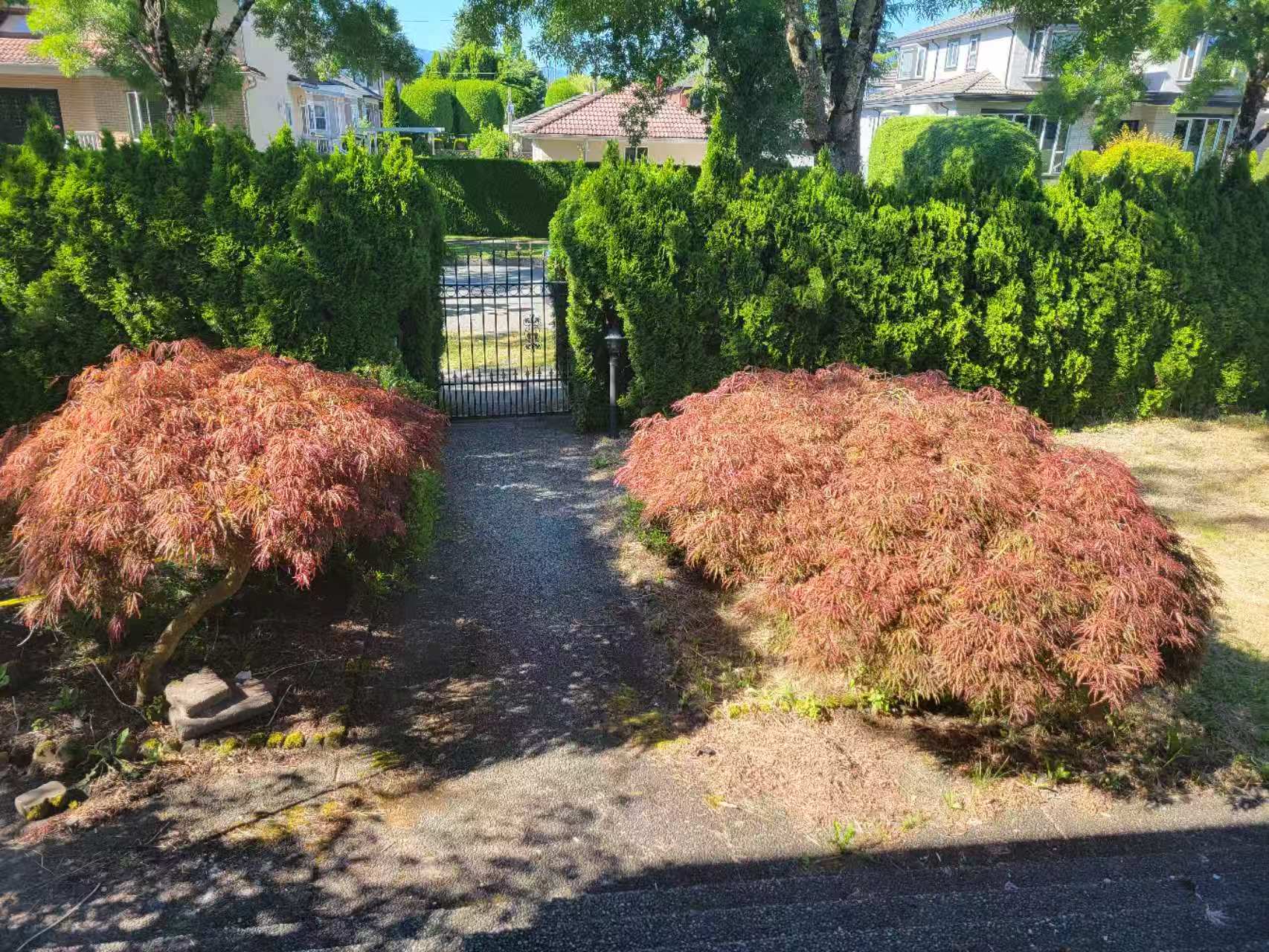 LOWER HOUSE COMMON AREA PHOTO 7