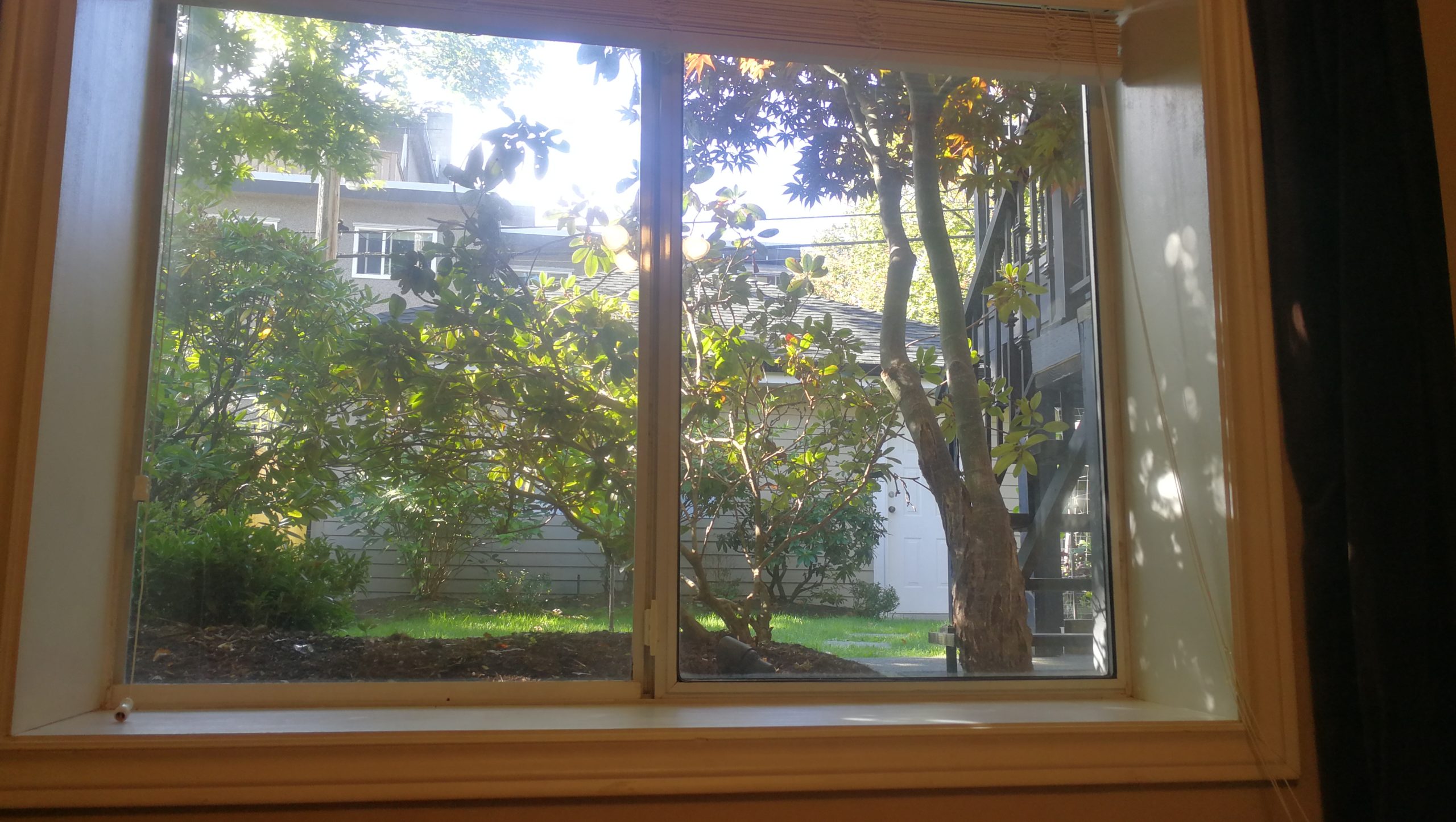 Image_20241011132214