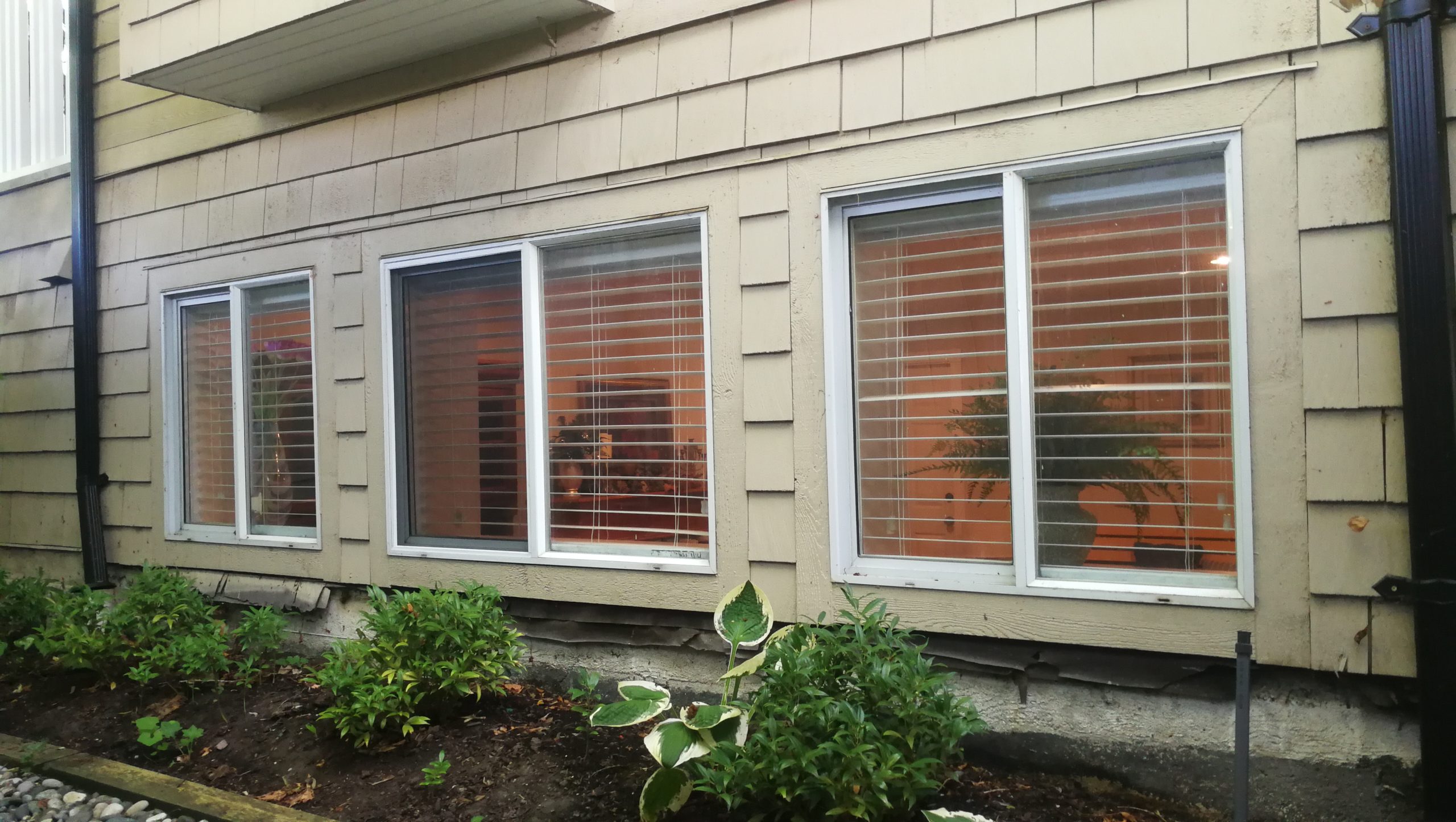 Image_20241011132245