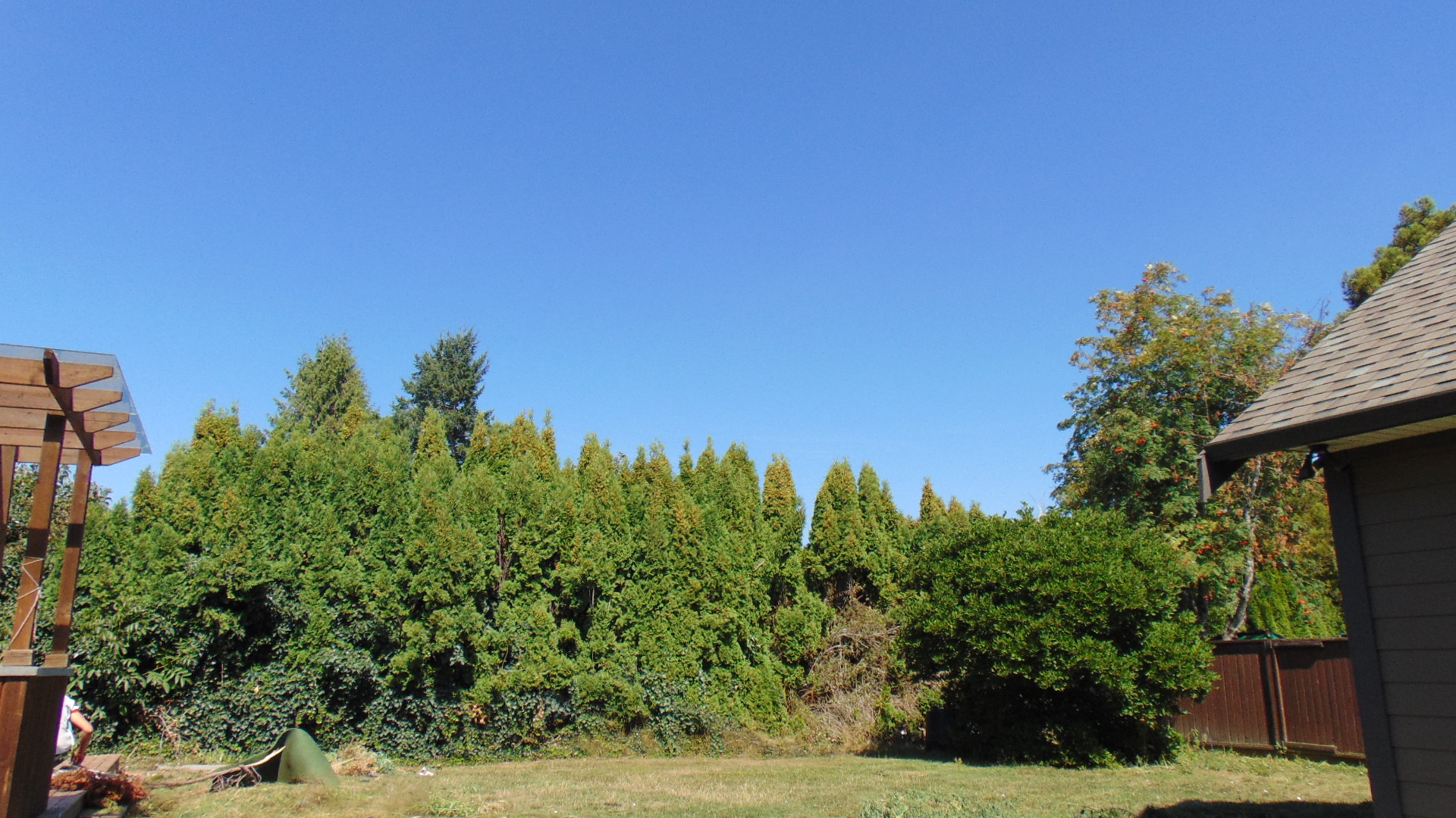 DSC09840