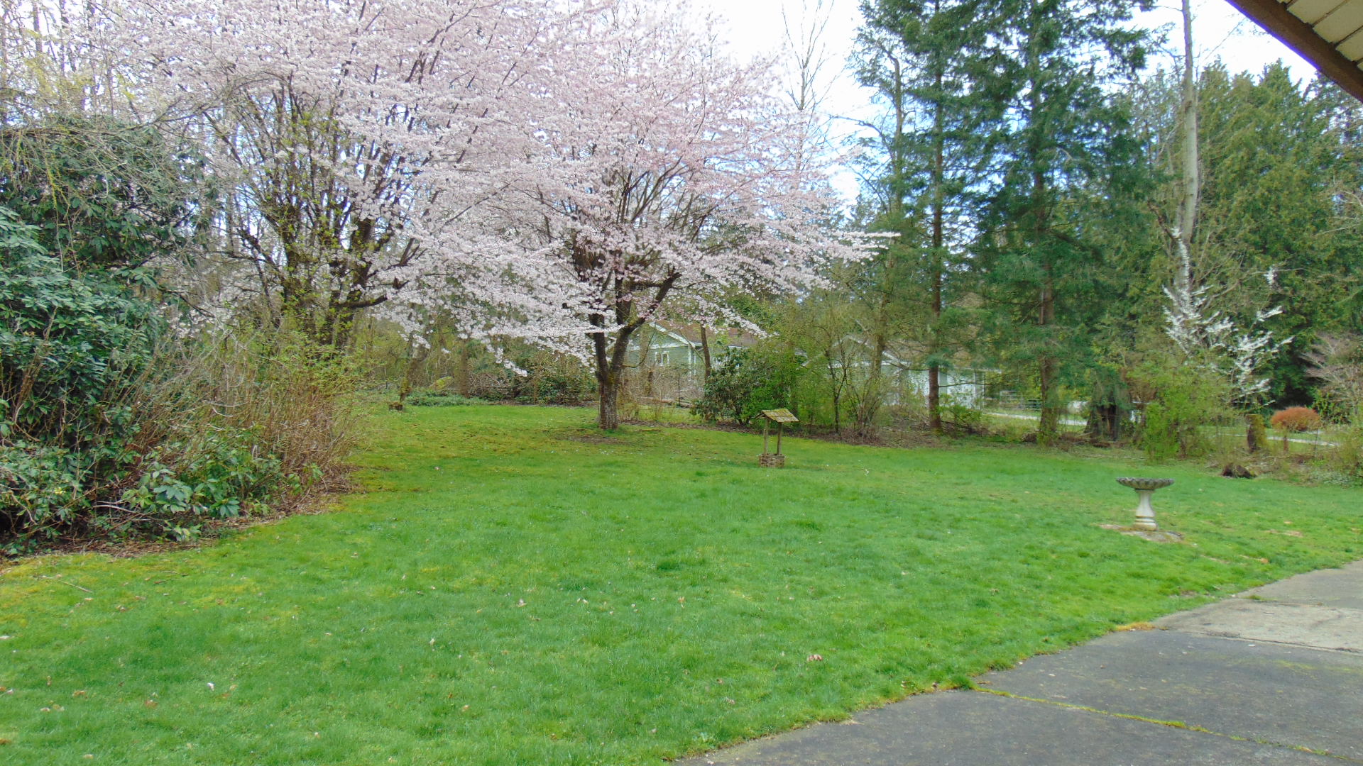 DSC02058