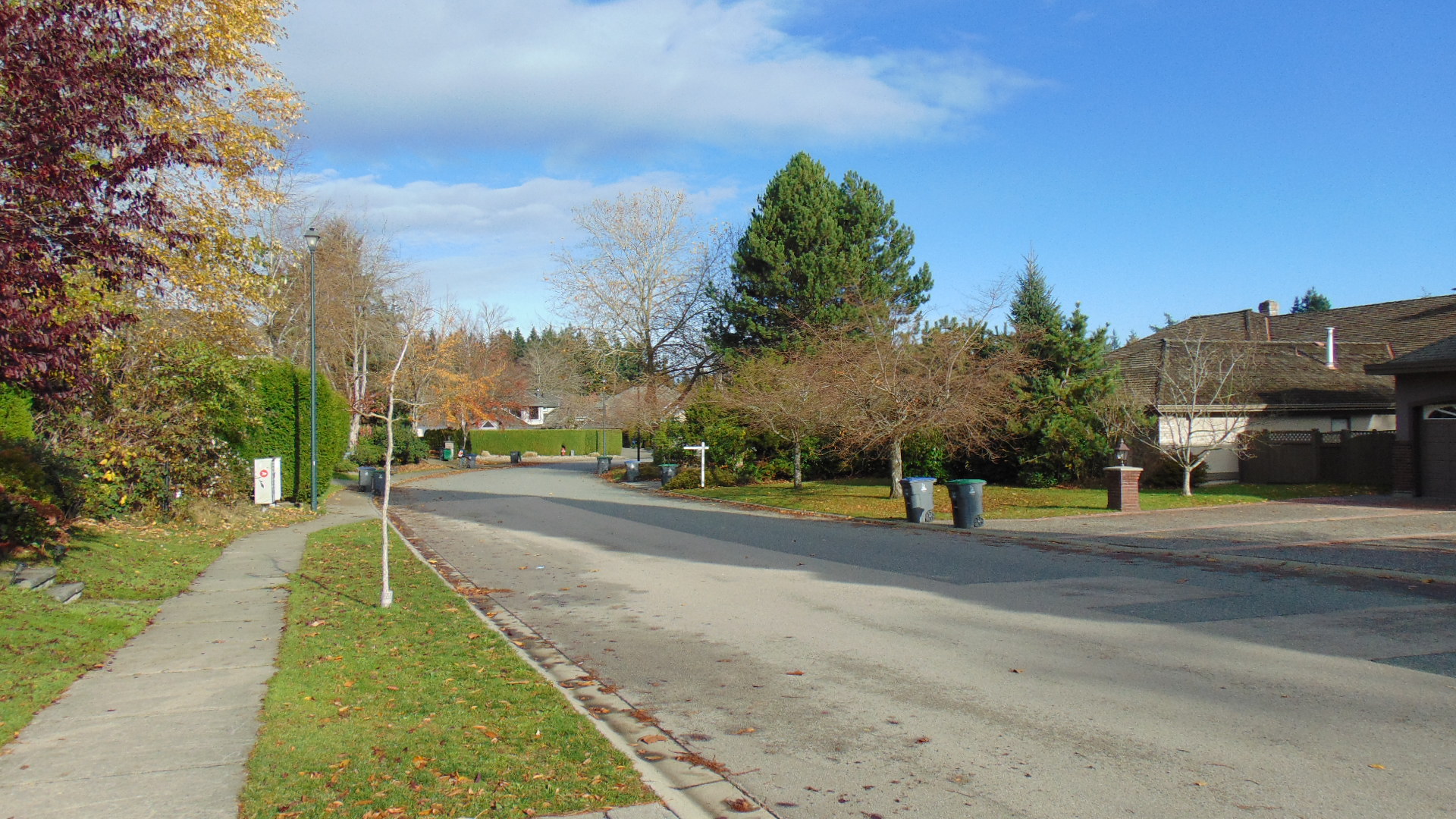 DSC05317