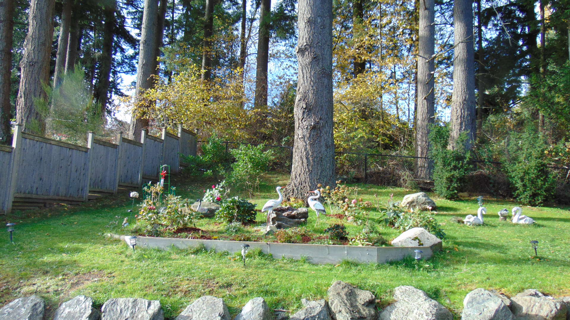 DSC05320